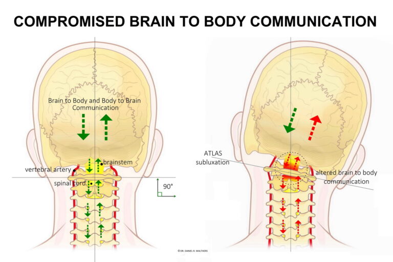Brain Body Brain communication IMAGE 1000 pixels copy